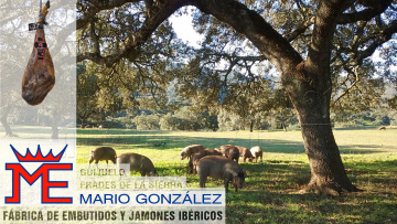 Mario González ME - Instalaciones Guijuelo<br />
Frades de la Sierra<br />
<br />
Tradición y Origen